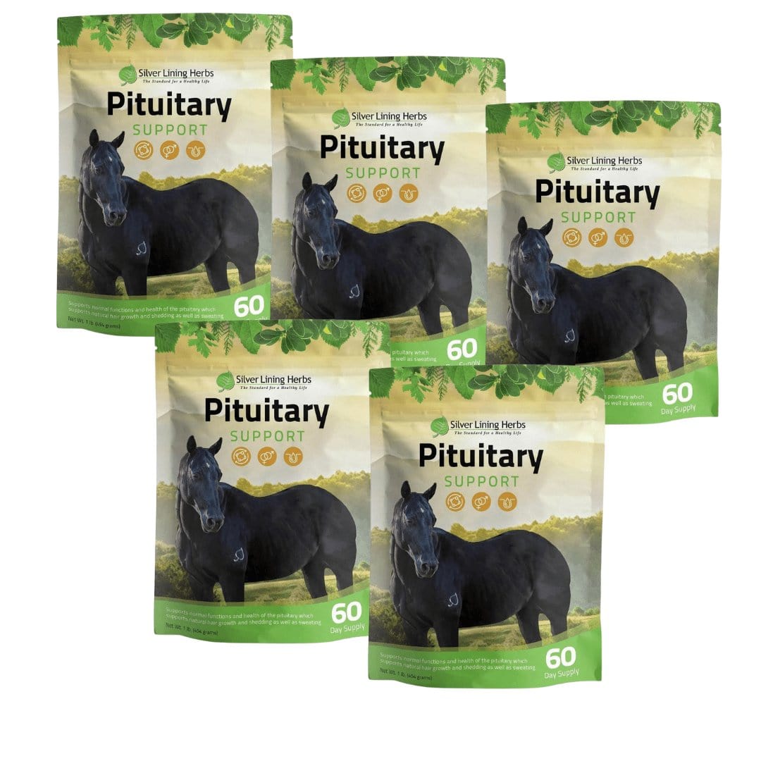 Pituitary Support for Horses - Silver Lining Herbs