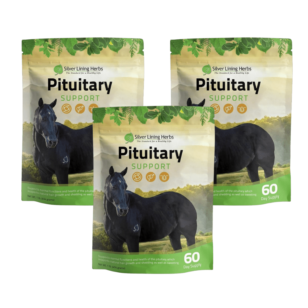 Pituitary Support for Horses - Silver Lining Herbs