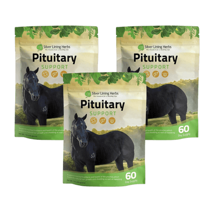 Pituitary Support for Horses - Silver Lining Herbs