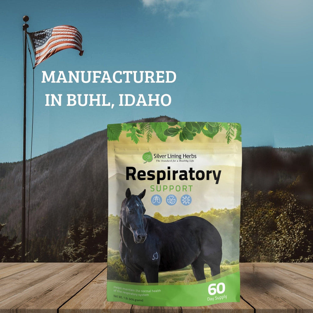 Respiratory Support for Horses - Silver Lining Herbs