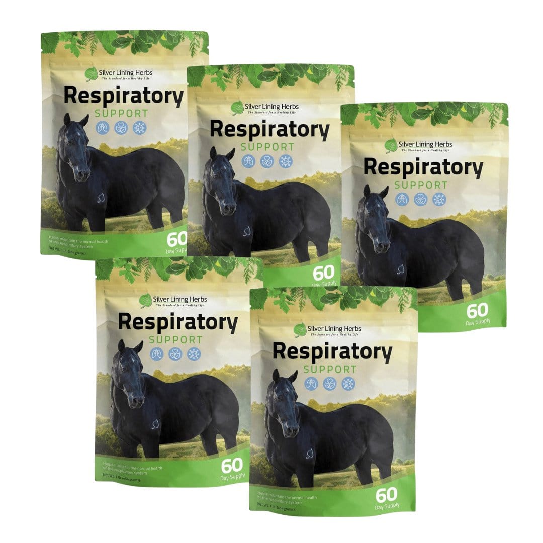 Respiratory Support for Horses - Silver Lining Herbs