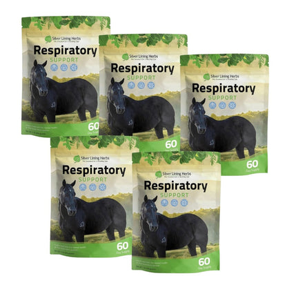 Respiratory Support for Horses - Silver Lining Herbs