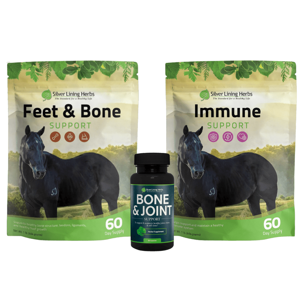 The Miles Baker Bundle Box - Silver Lining Herbs