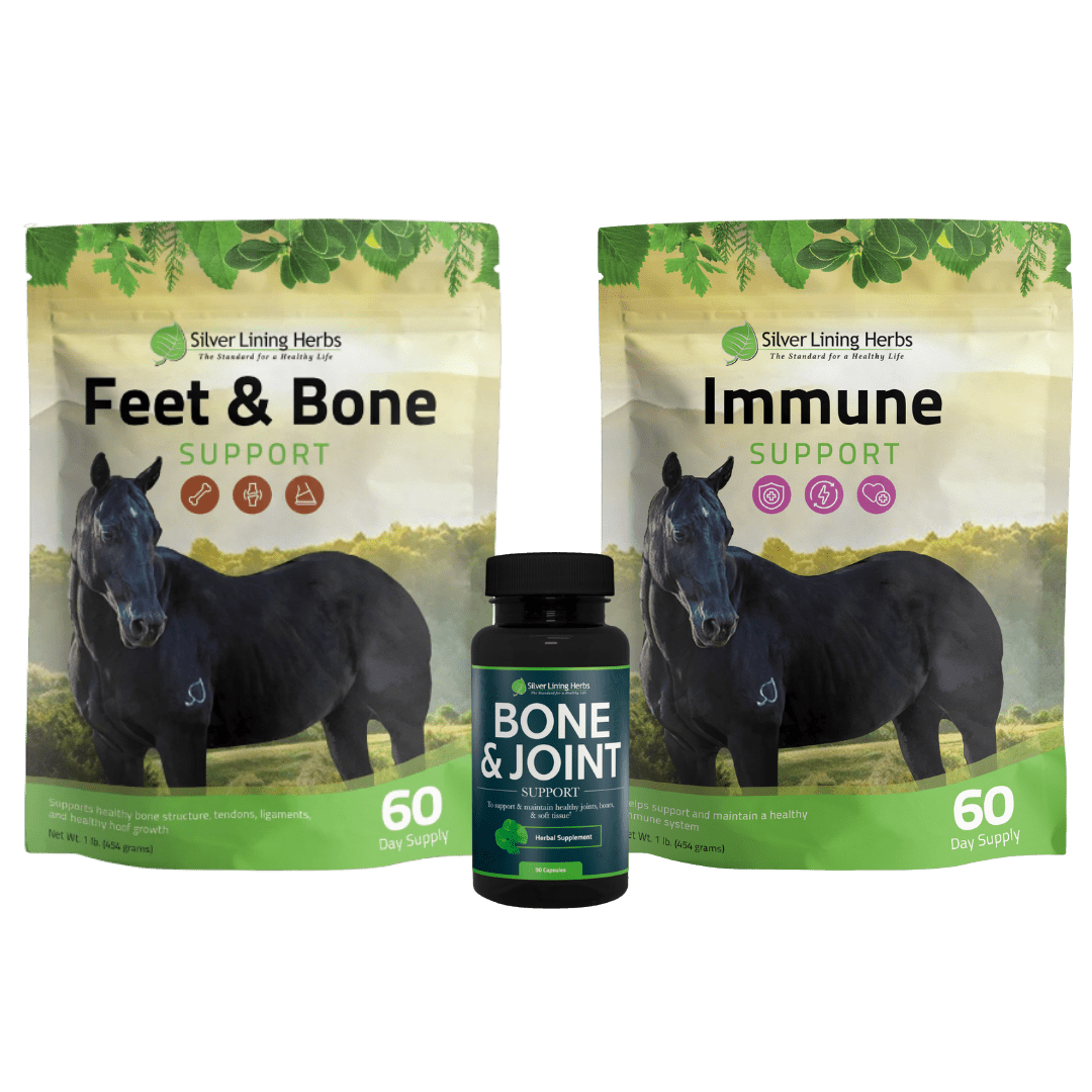 The Miles Baker Bundle Box - Silver Lining Herbs