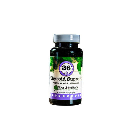 Thyroid Support for Canines - Silver Lining Herbs