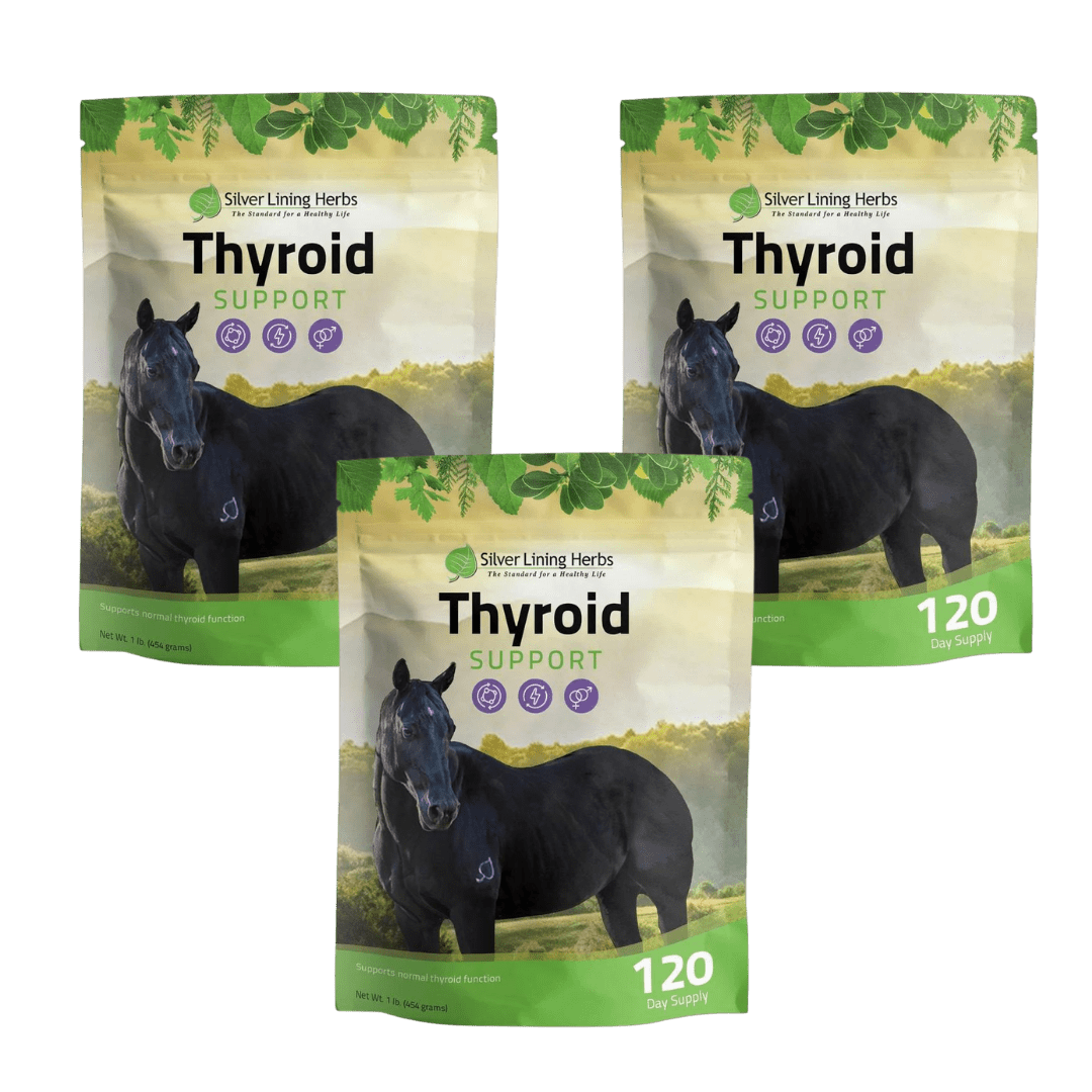 Thyroid Support for Horses - Silver Lining Herbs