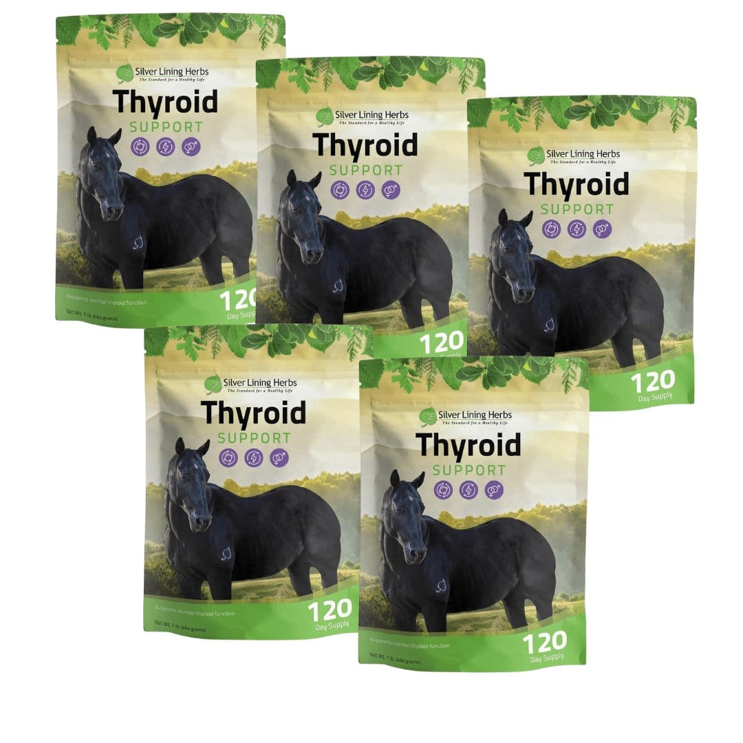 Thyroid Support for Horses - Silver Lining Herbs