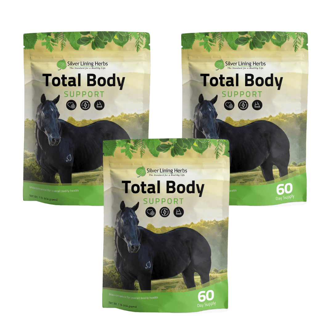 Total Body Support for Horses - Silver Lining Herbs