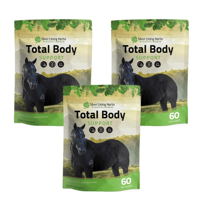Total Body Support for Horses - Silver Lining Herbs