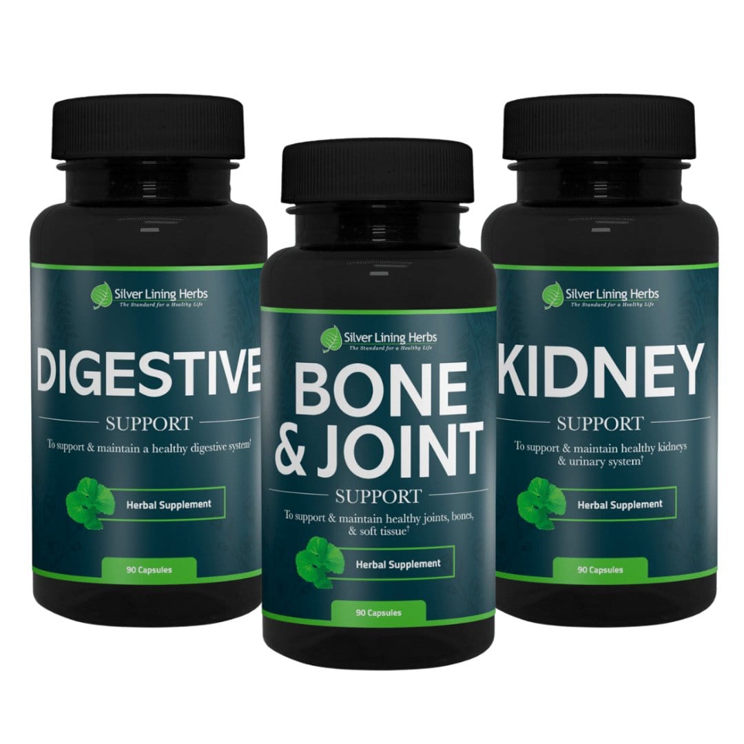 Winter Bundle for Humans - Silver Lining Herbs