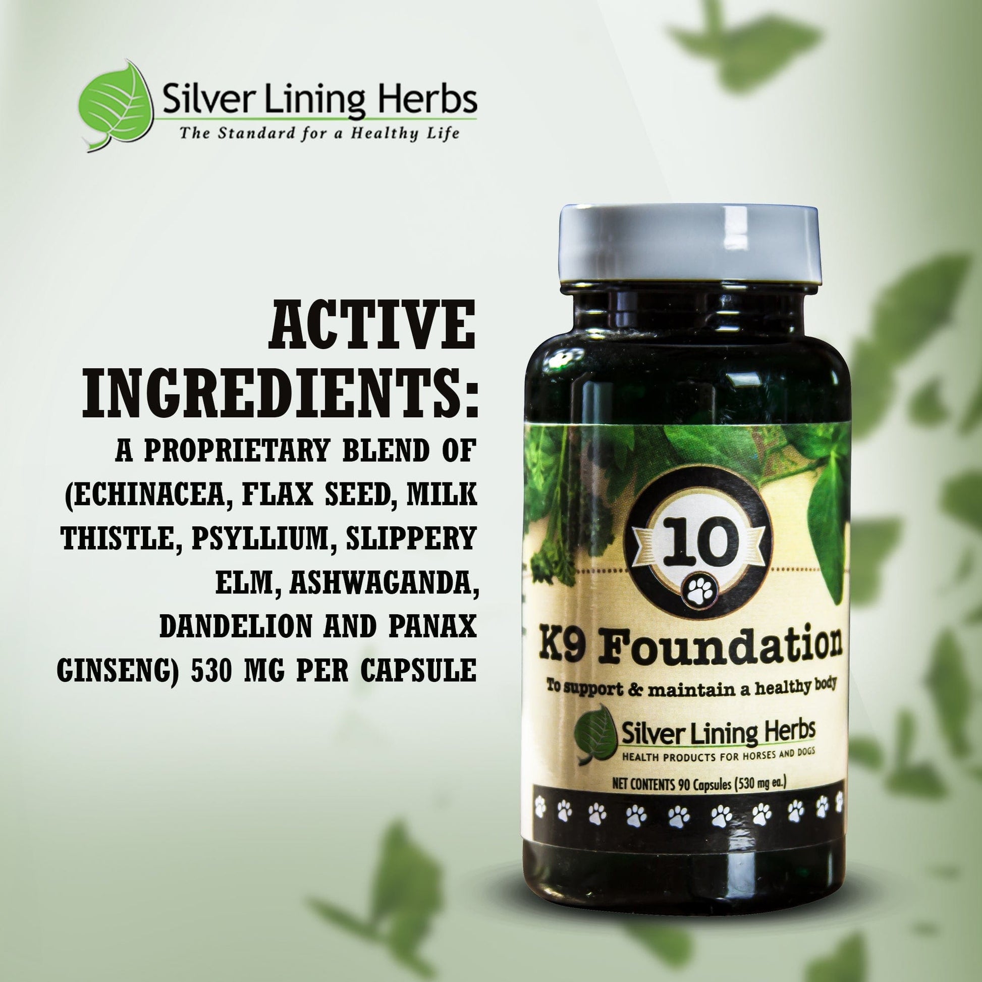 10 Foundation for Dogs - Silver Lining Herbs