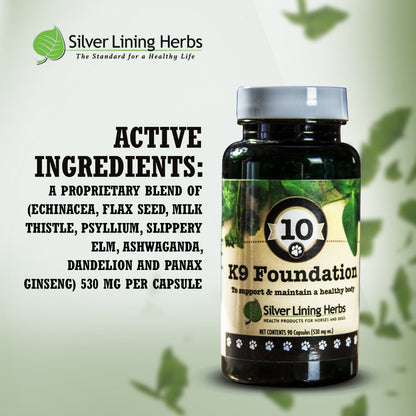 10 Foundation for Dogs - Silver Lining Herbs