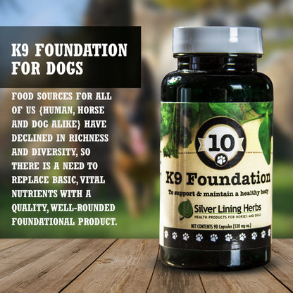 10 Foundation for Dogs - Silver Lining Herbs
