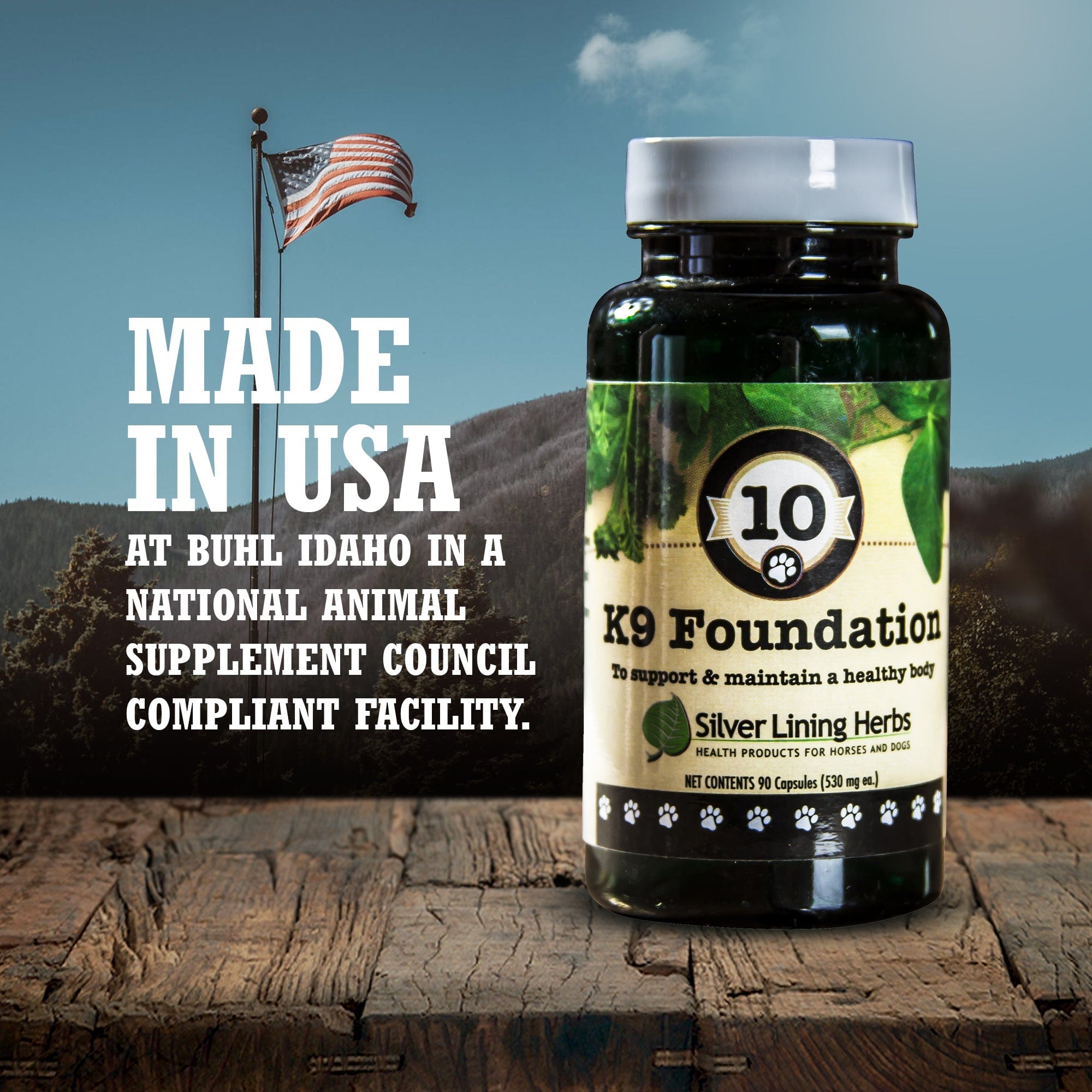 10 Foundation for Dogs - Silver Lining Herbs