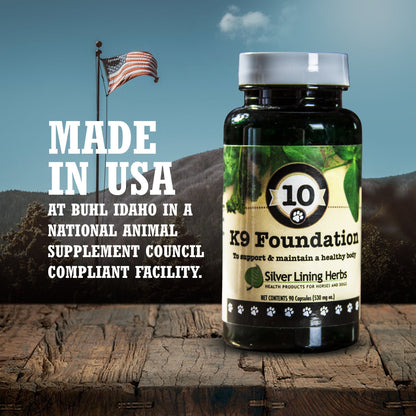 10 Foundation for Dogs - Silver Lining Herbs