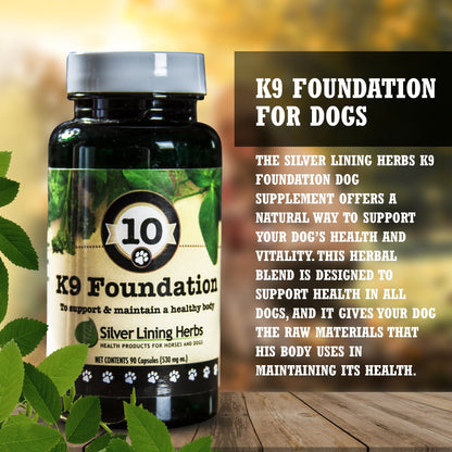 10 Foundation for Dogs - Silver Lining Herbs