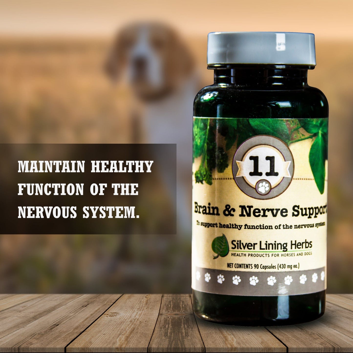 11 Brain & Nerve Support for Dogs - Silver Lining Herbs