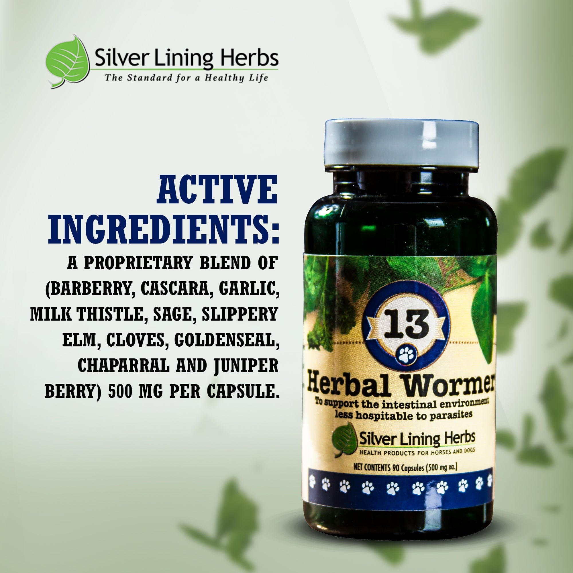 13 Herbal Wormer for Dogs - 90 Capsule - Silver Lining Herbs
