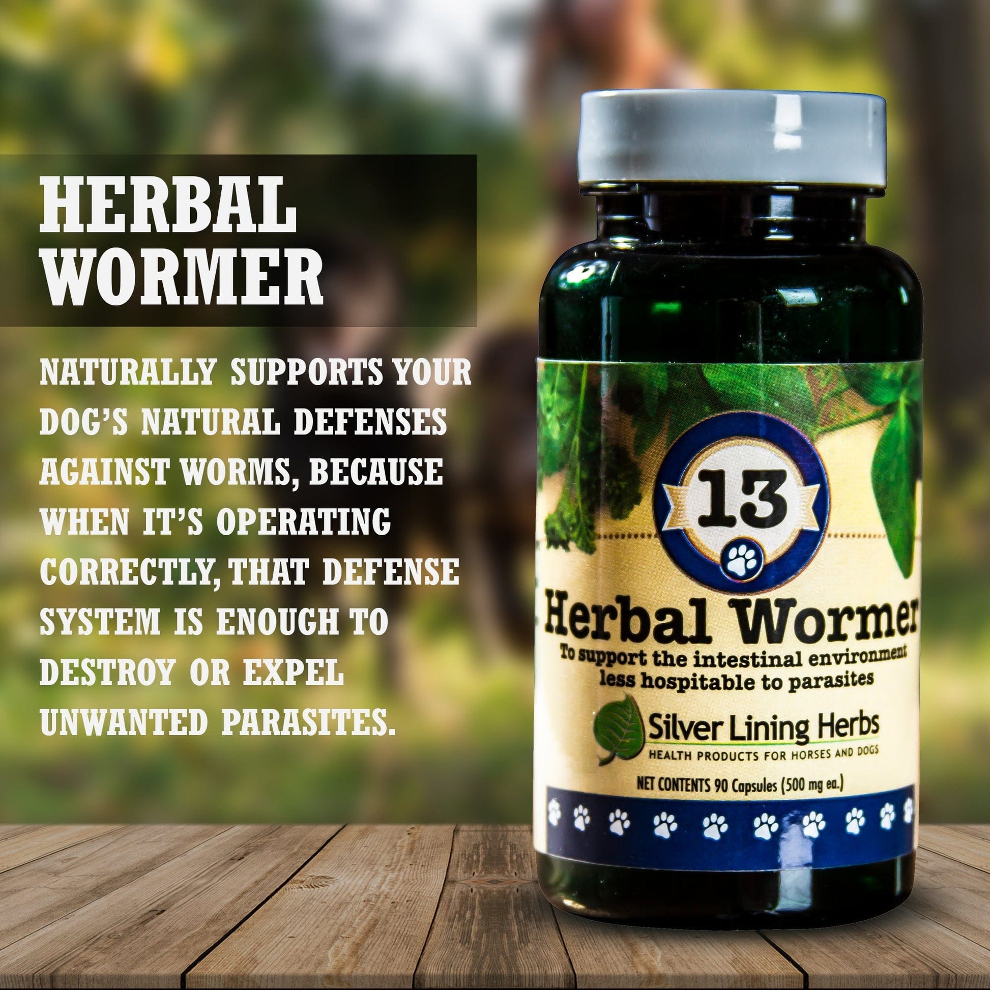13 Herbal Wormer for Dogs - 90 Capsule - Silver Lining Herbs