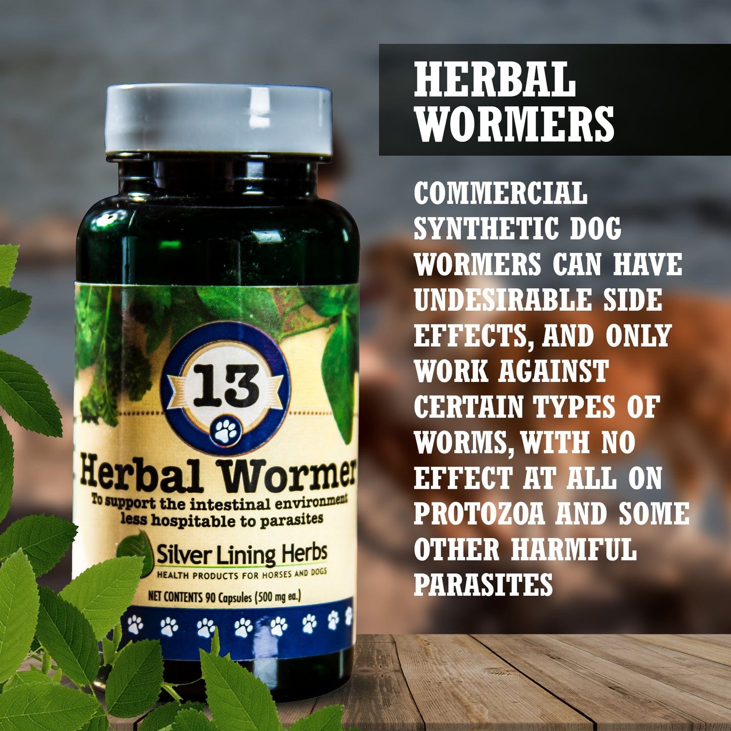 13 Herbal Wormer for Dogs - 90 Capsule - Silver Lining Herbs