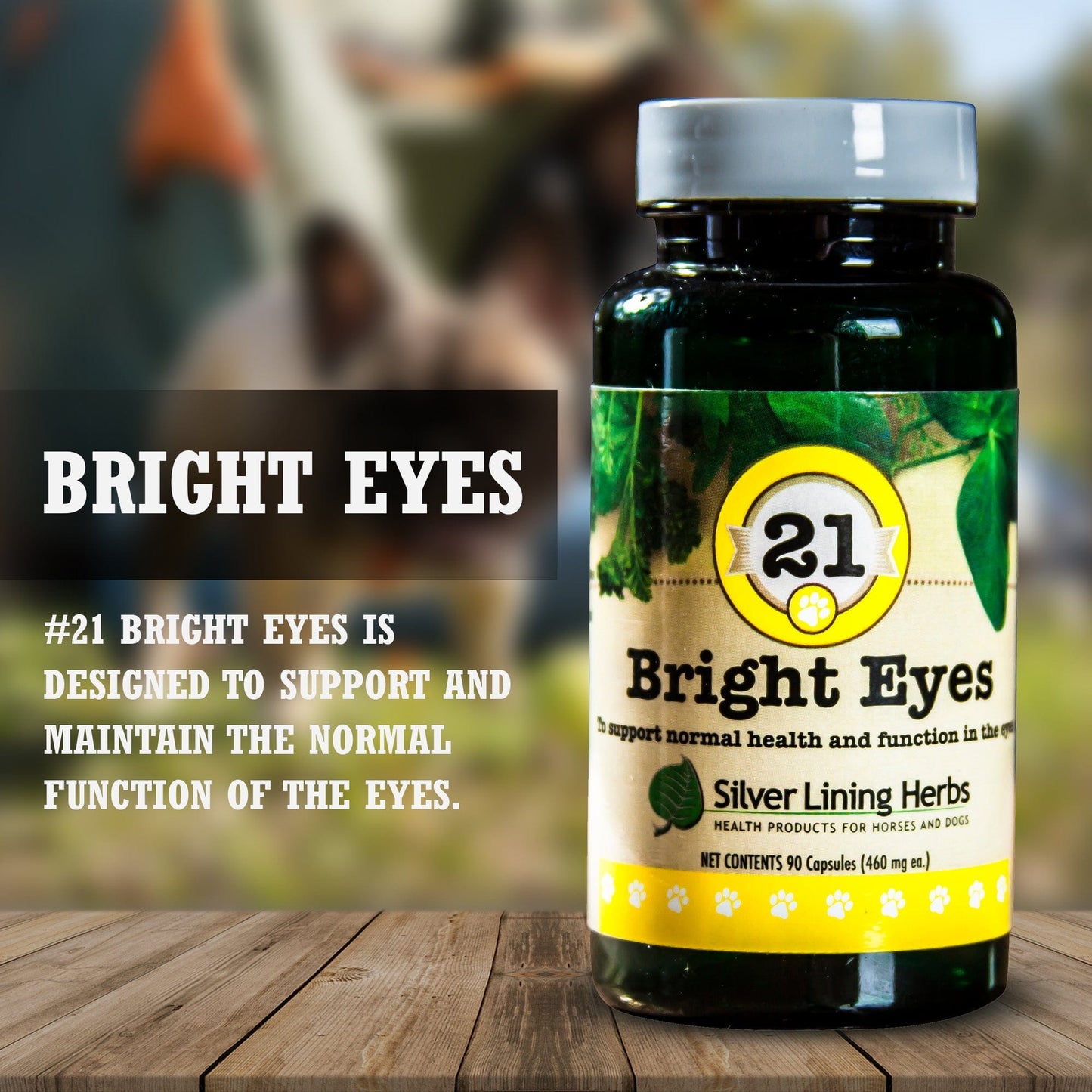 21 Bright Eyes for Dogs - Silver Lining Herbs