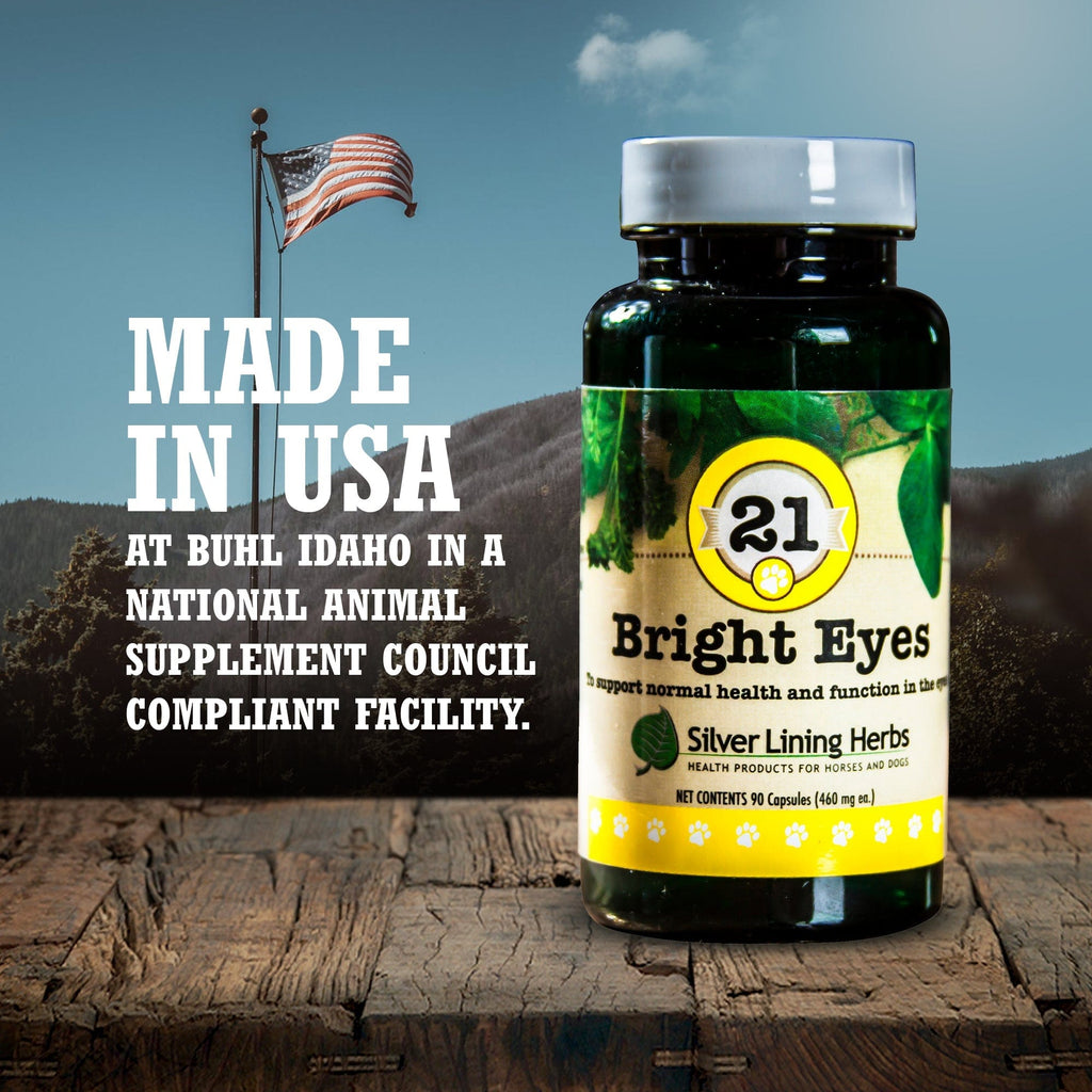 21 Bright Eyes for Dogs - Silver Lining Herbs