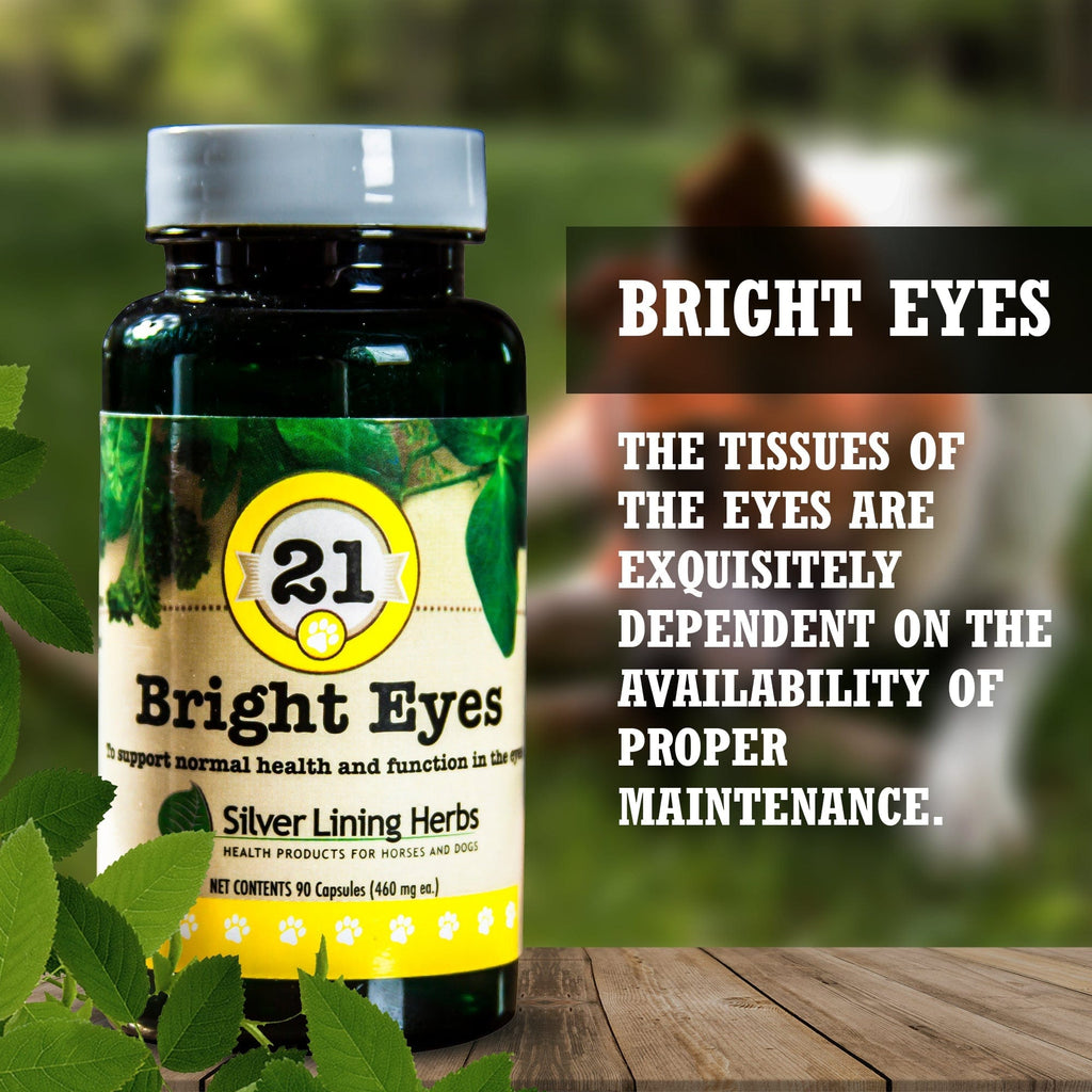 21 Bright Eyes for Dogs - Silver Lining Herbs
