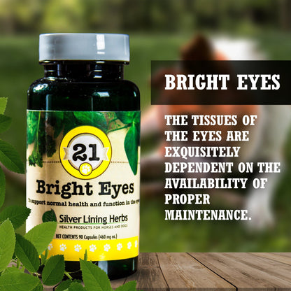 21 Bright Eyes for Dogs - Silver Lining Herbs