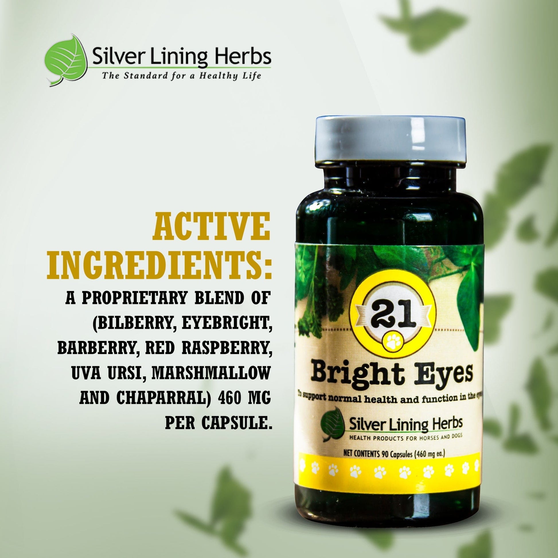 21 Bright Eyes for Dogs - Silver Lining Herbs