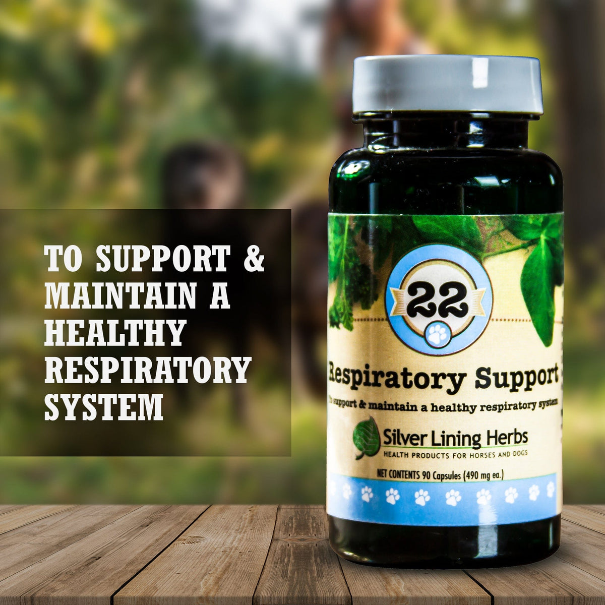 Tree Bark For Respiratory Issues In Dogs photo