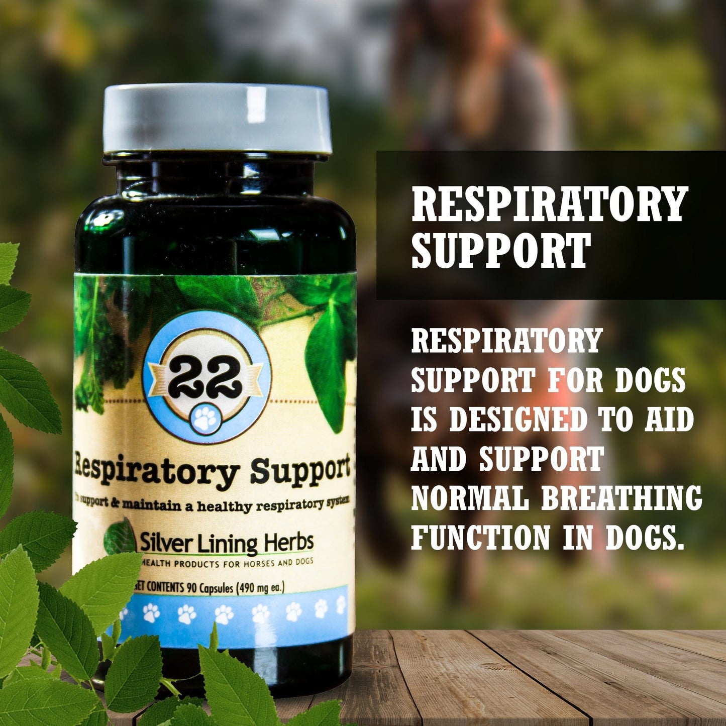 22 Respiratory Support for Dogs - Silver Lining Herbs