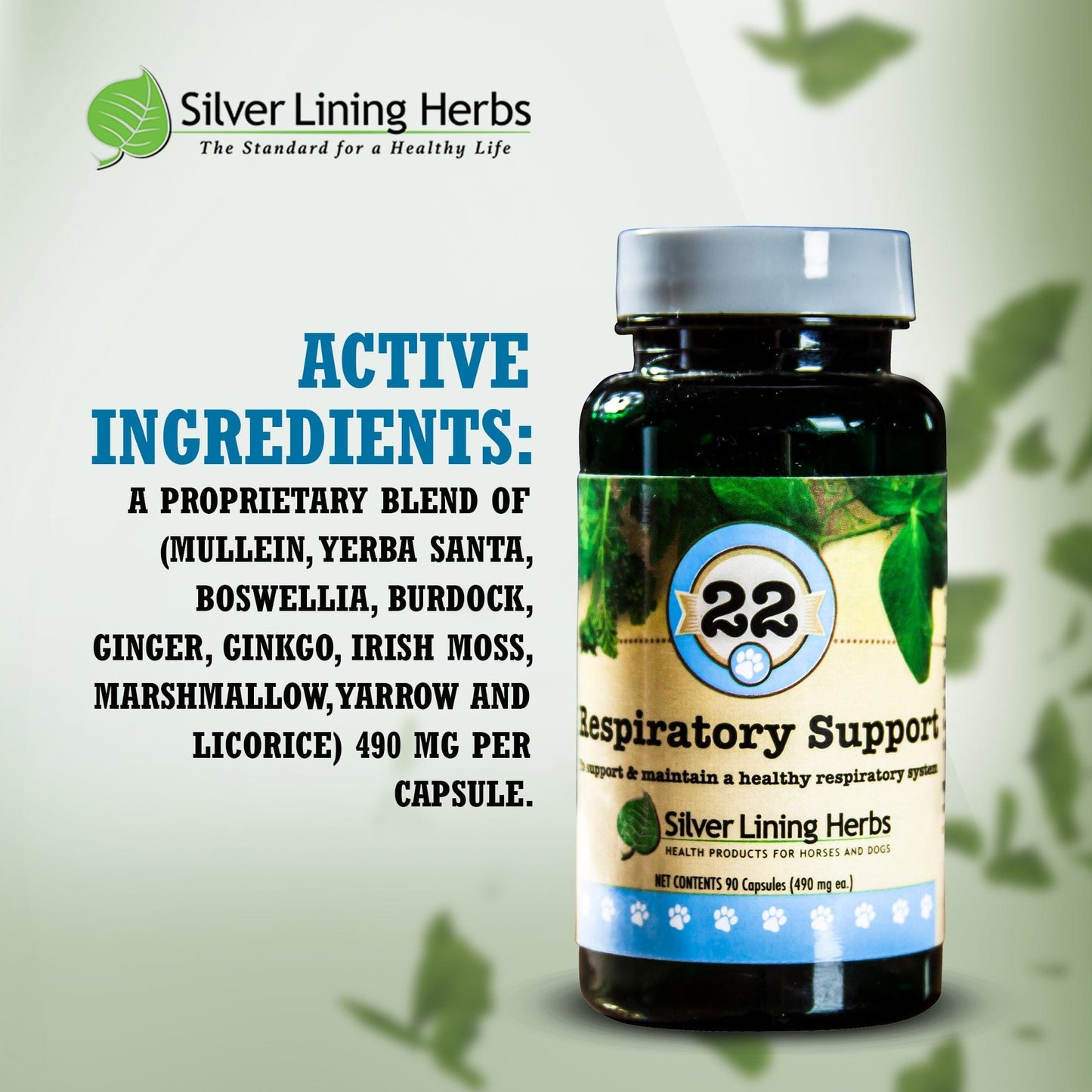 22 Respiratory Support for Dogs - Silver Lining Herbs