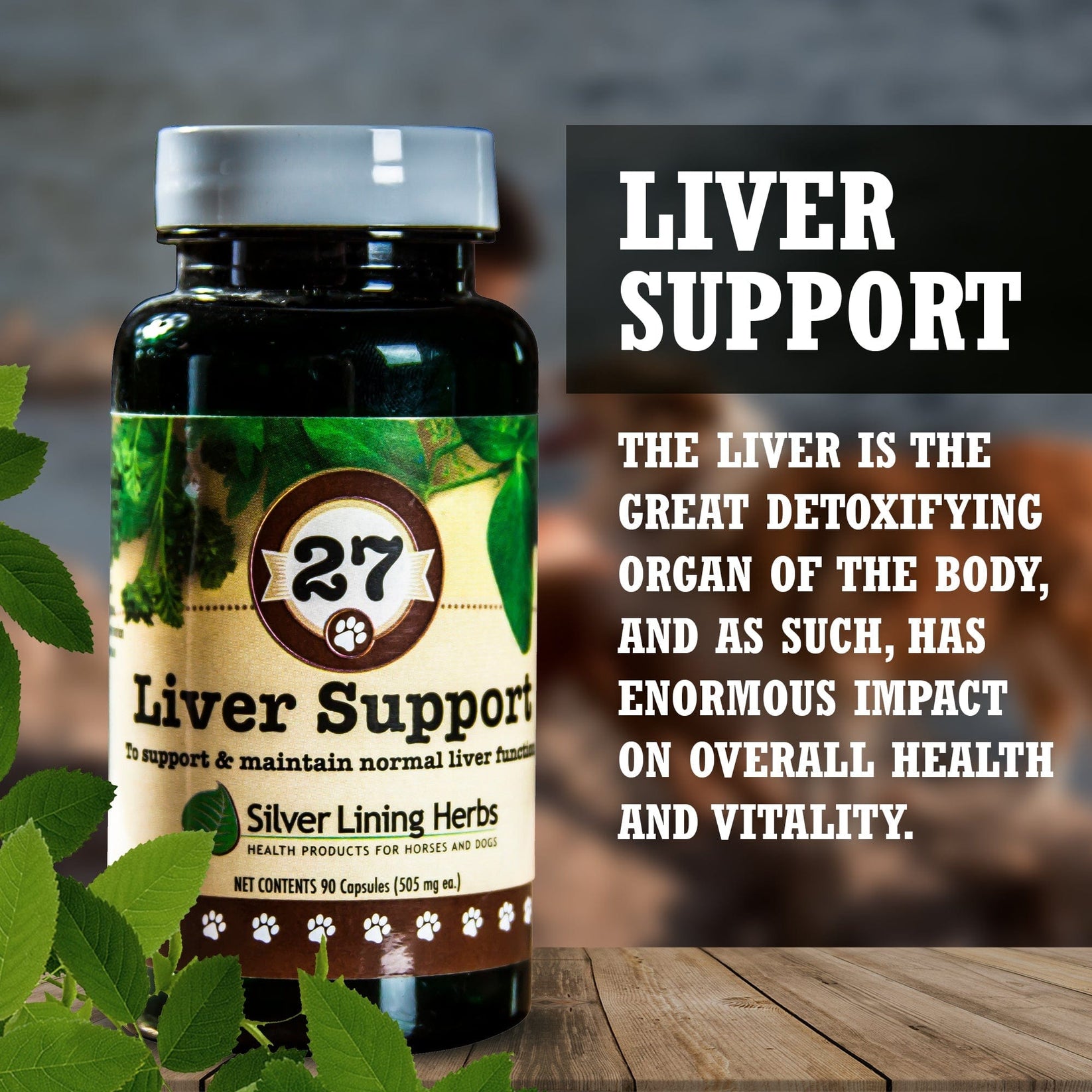 Liver Support for dogs Natural Herbs SilverLining Herbs Silver