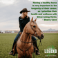 The Sherry Cervi Bundle Boxes