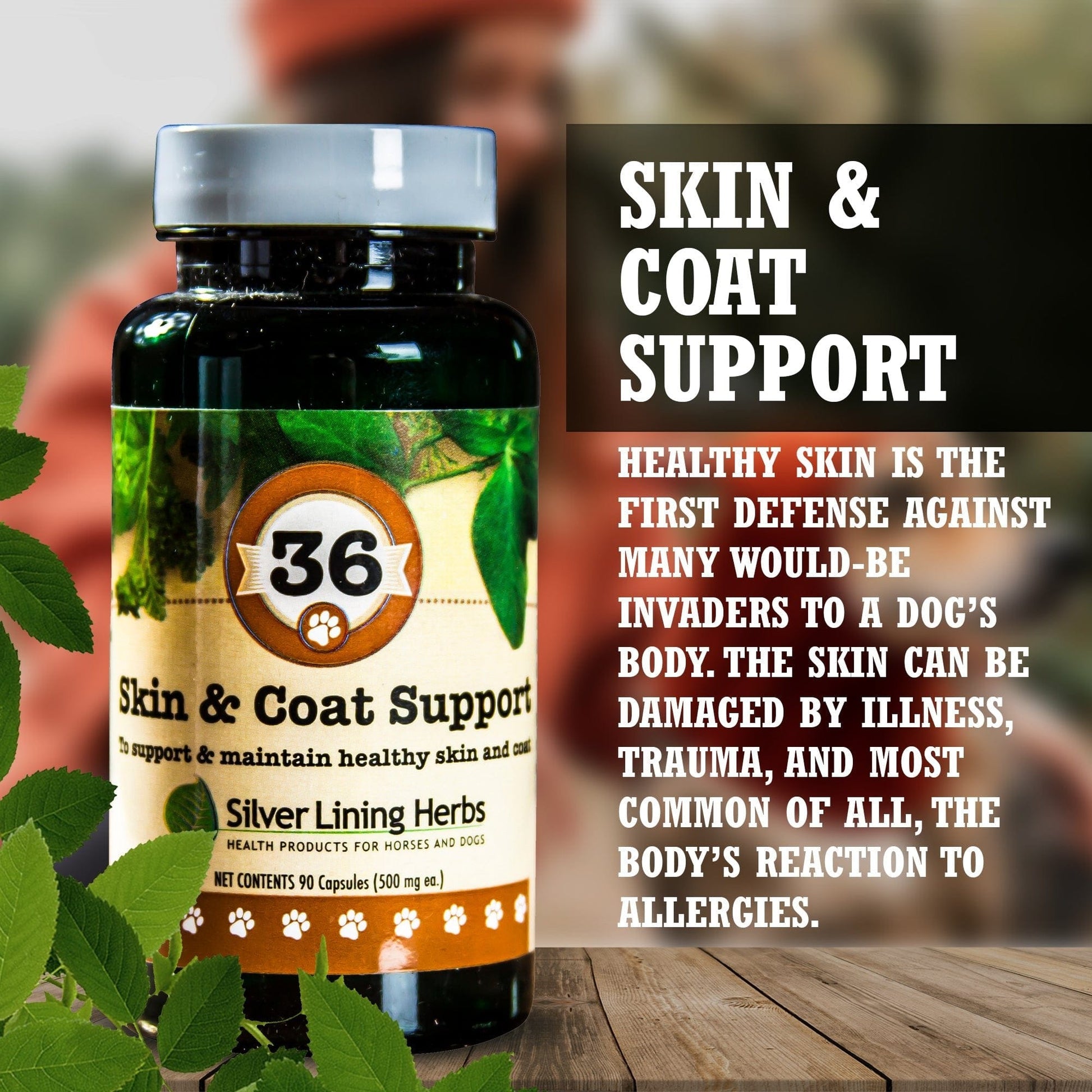 36 Skin & Coat Support for Dogs - Silver Lining Herbs