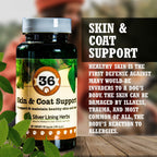 36 Skin & Coat Support for Dogs - Silver Lining Herbs