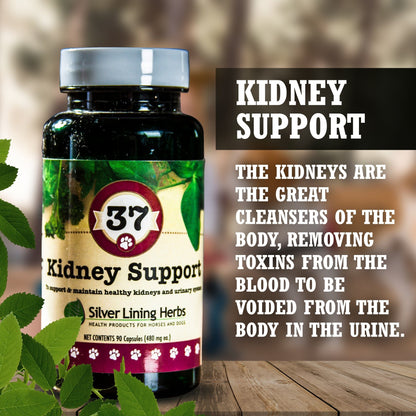 37 Kidney Support for Dogs - 90 Capsule - Silver Lining Herbs