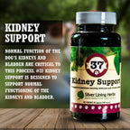 37 Kidney Support for Dogs - 90 Capsule - Silver Lining Herbs