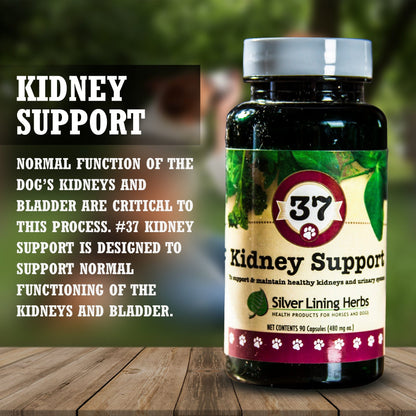 37 Kidney Support for Dogs - 90 Capsule - Silver Lining Herbs