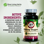 37 Kidney Support for Dogs - 90 Capsule - Silver Lining Herbs