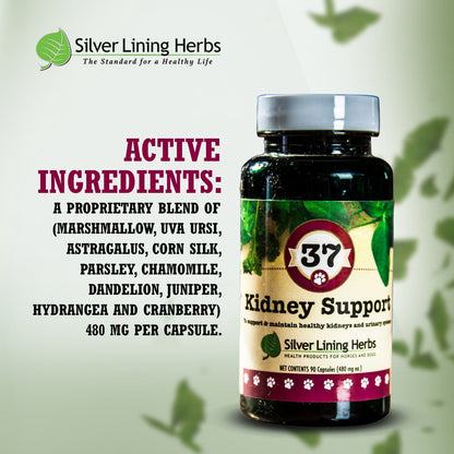 37 Kidney Support for Dogs - 90 Capsule - Silver Lining Herbs