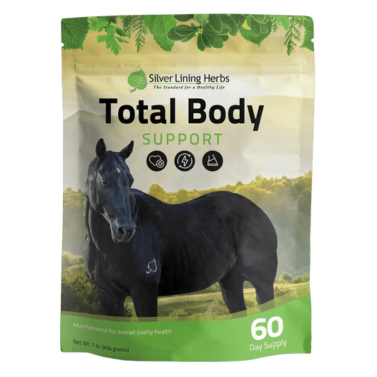 Total Body Support for Horses