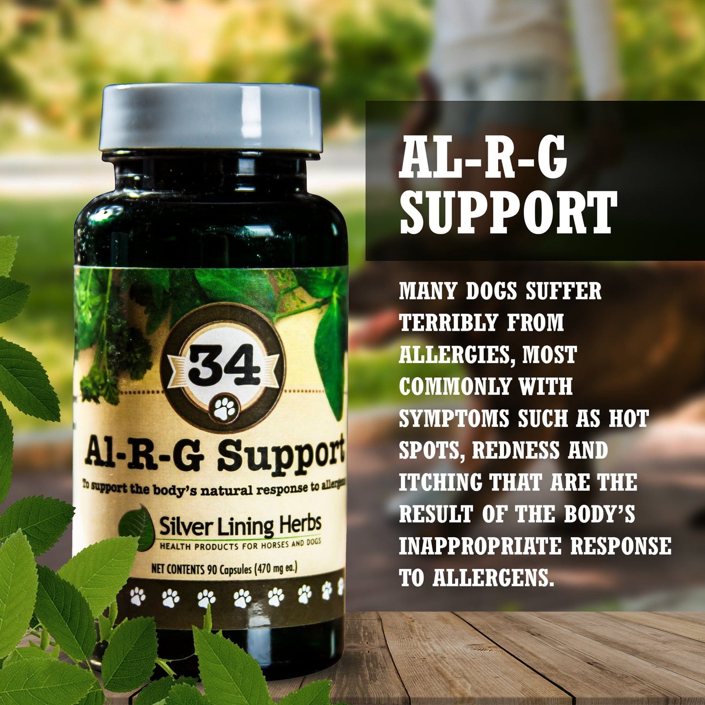 Al-R-G Support for Dogs - Silver Lining Herbs