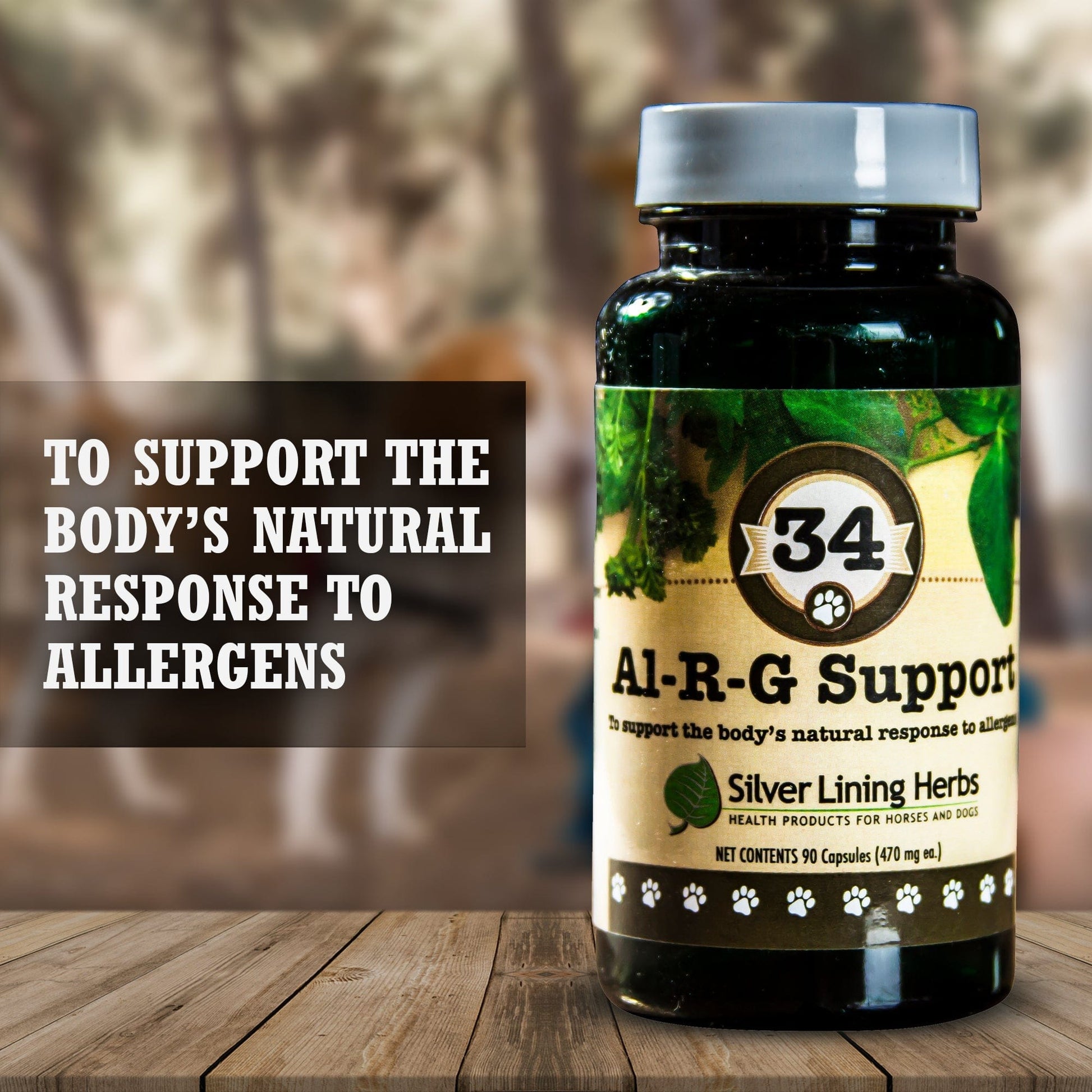 Al-R-G Support for Dogs - Silver Lining Herbs