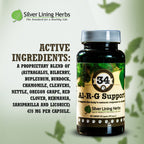 Al-R-G Support for Dogs - Silver Lining Herbs