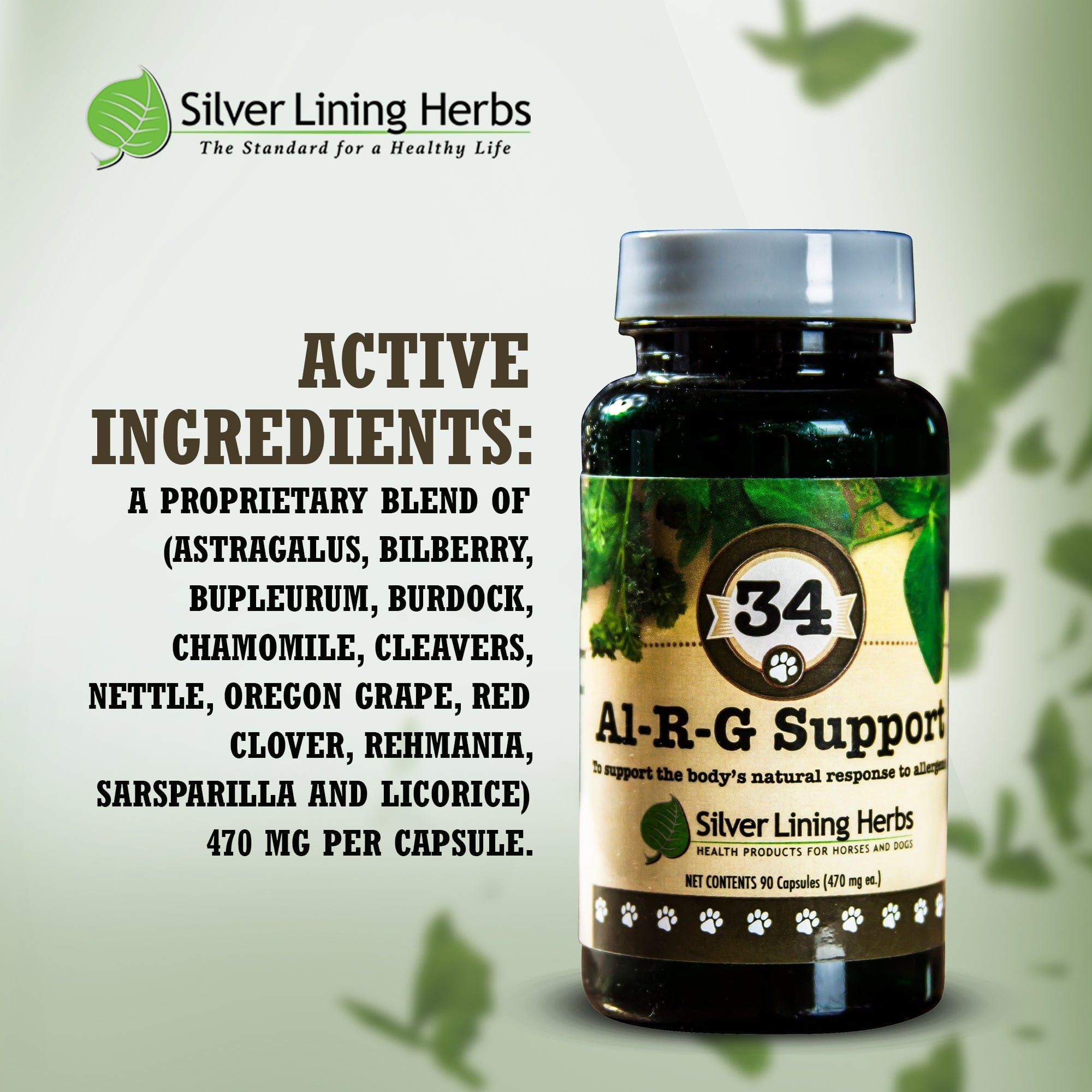 Al-R-G Support for Dogs - Silver Lining Herbs