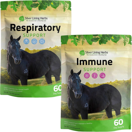 Better Breathing Bundle for Horses - Silver Lining Herbs