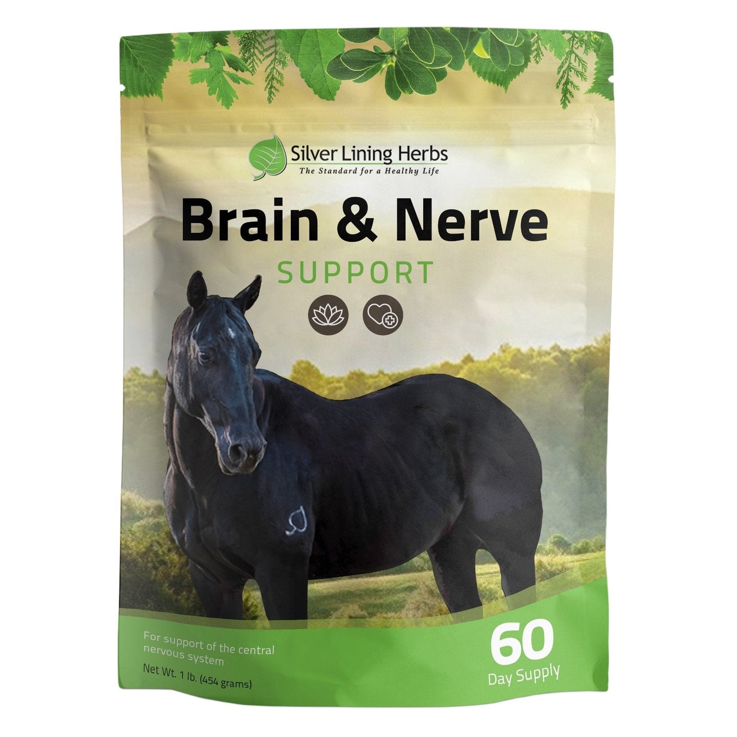 Brain & Nerve Support for Horses - Silver Lining Herbs
