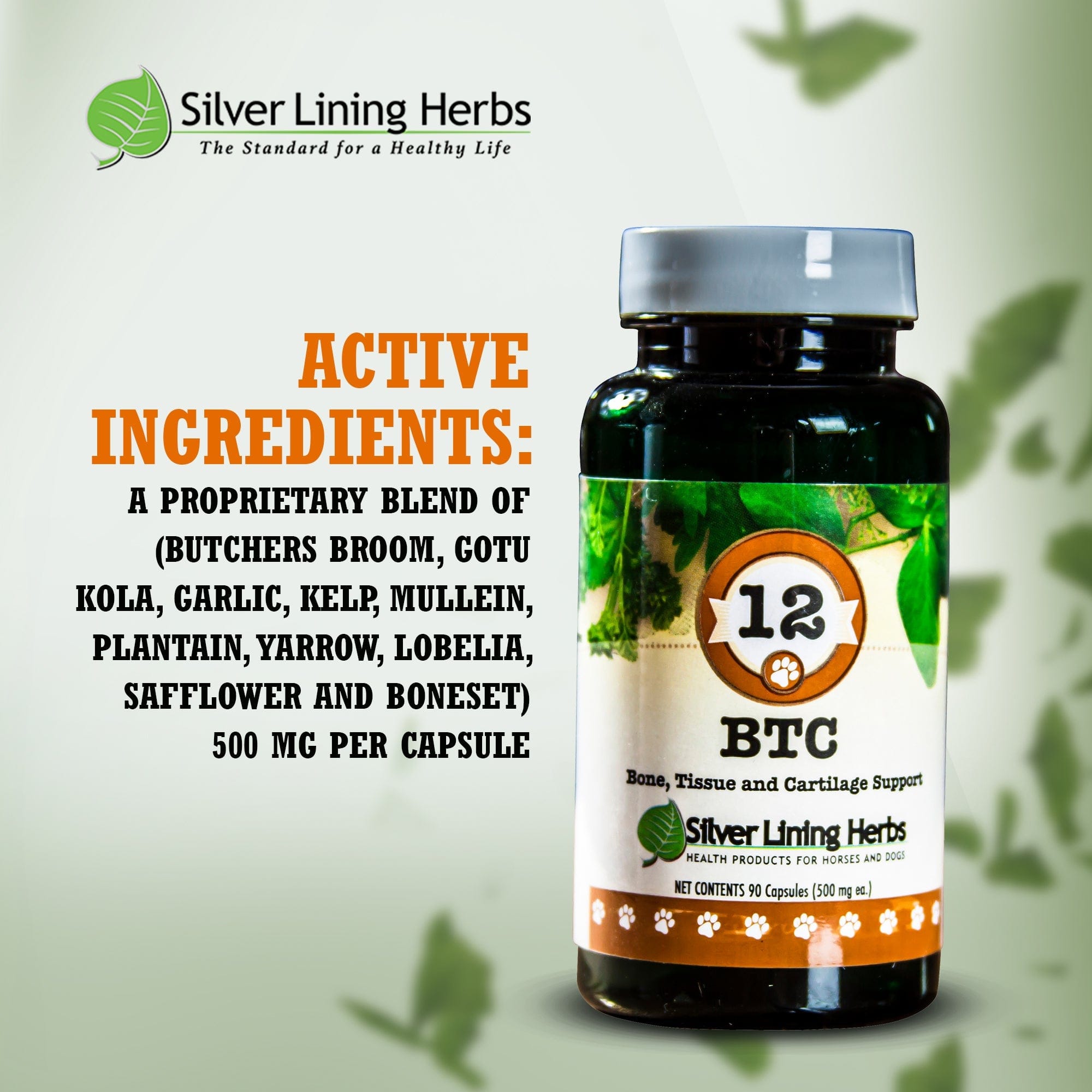 BTC Bone Tissue and Cartilage Support - Silver Lining Herbs