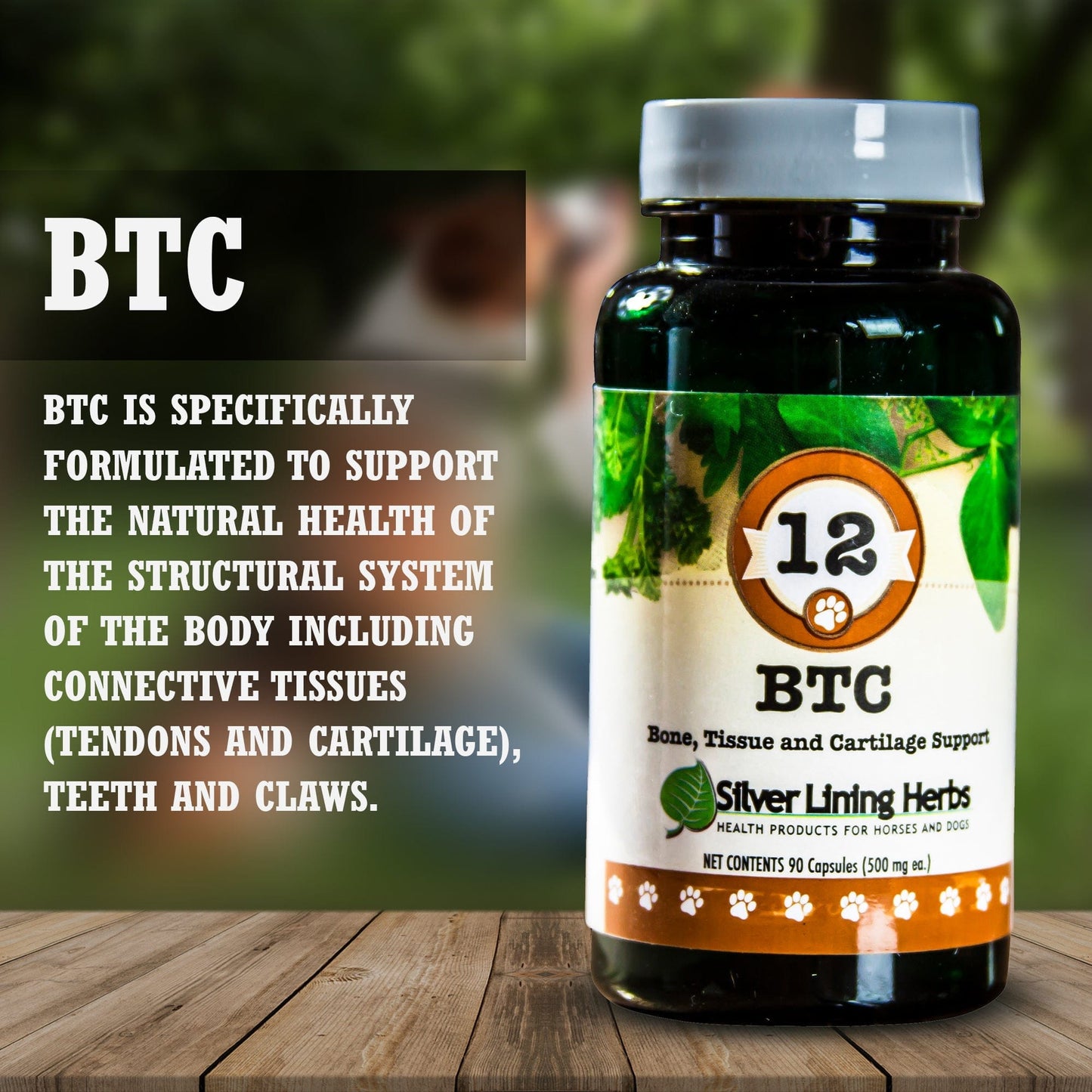 BTC Bone Tissue and Cartilage Support - Silver Lining Herbs